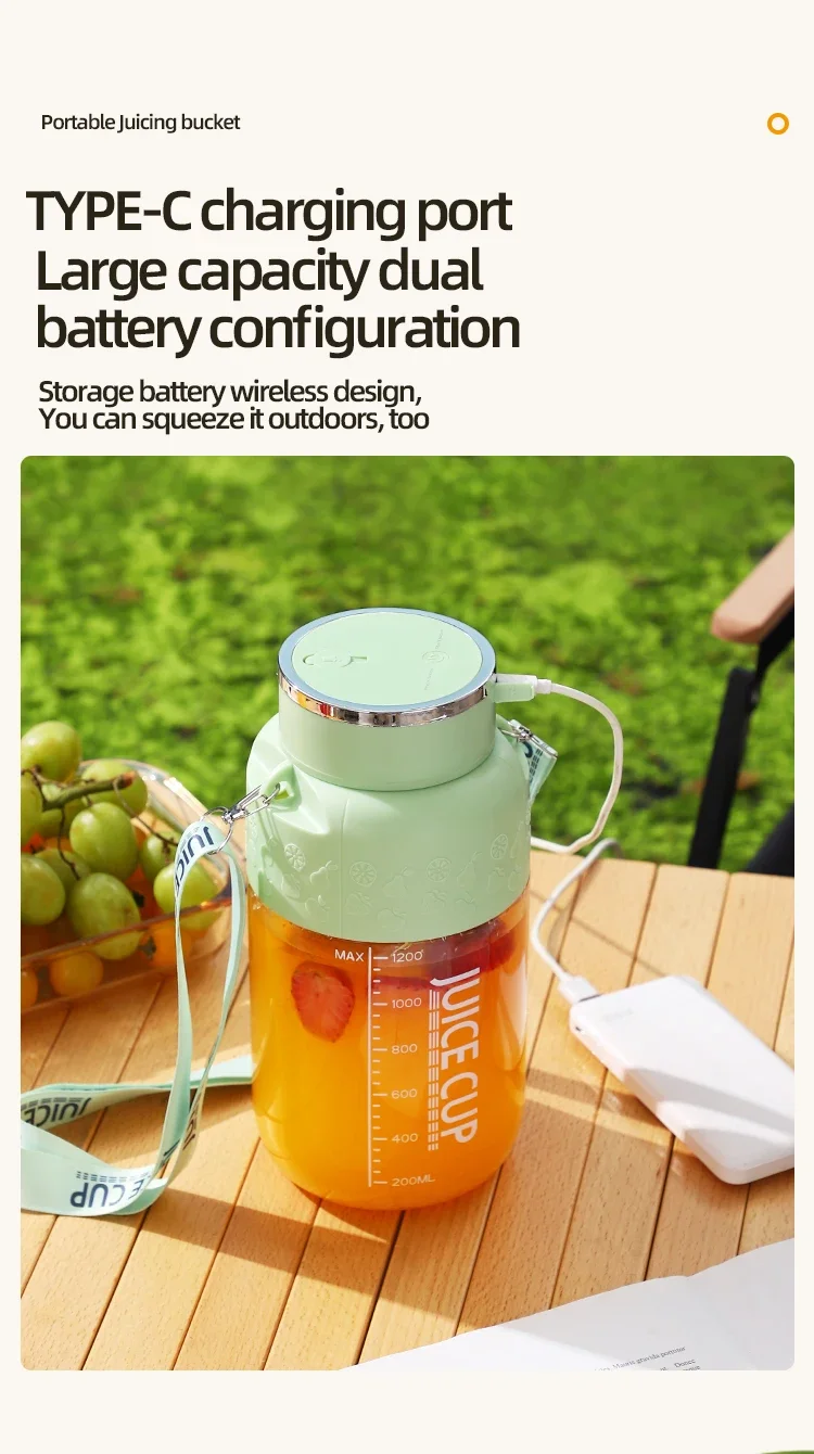 Portable Electric juicer cup -800ml capacity with 10 stainless steel blades - Image 18